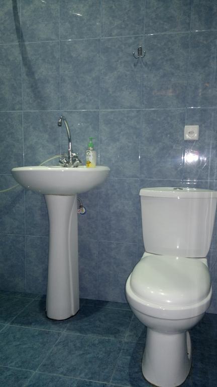 Guest House Besarioni 보르조미 객실 사진