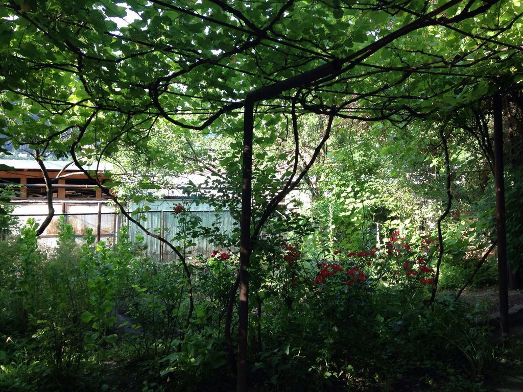 Guest House Besarioni 보르조미 외부 사진
